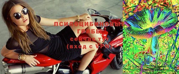 PSILOCYBIN Алексеевка