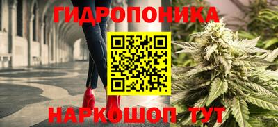 стафф Каменск-Уральский
