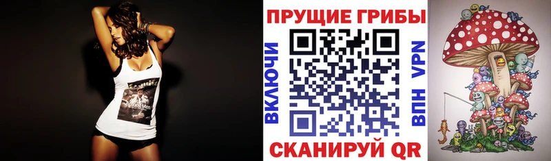 купить наркоту  Искитим  Псилоцибиновые грибы Psilocybine cubensis 