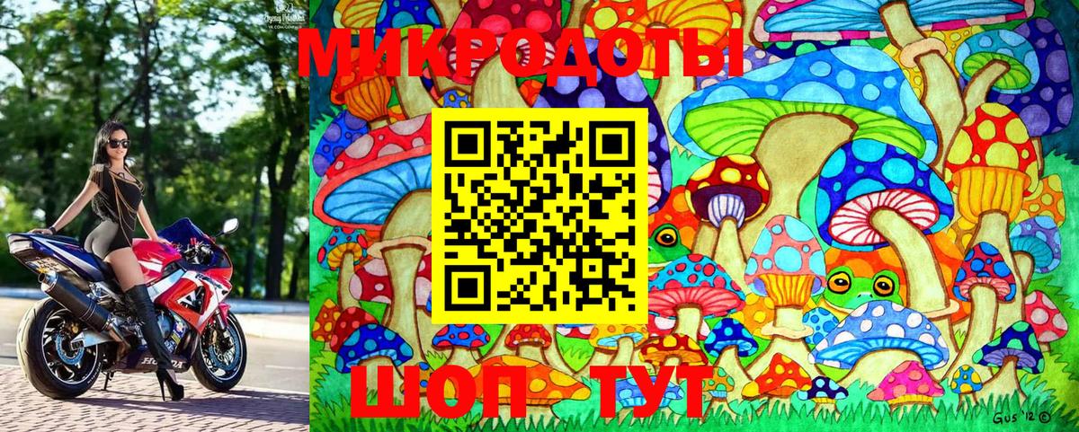 Искитим  Псилоцибиновые грибы Magic Shrooms  Галлюциногенные грибы мухоморы  Вход с VPN 